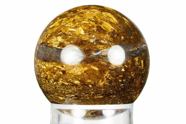 Golden Amphibolite Sphere - Western Australia #309148